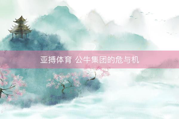 亚搏体育 公牛集团的危与机