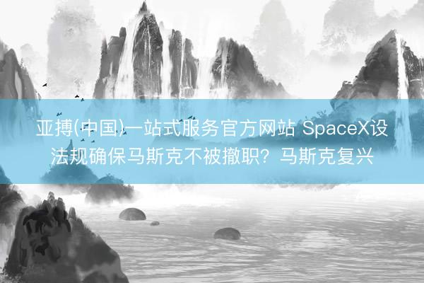 亚搏(中国)一站式服务官方网站 SpaceX设法规确保马斯克不被撤职？马斯克复兴