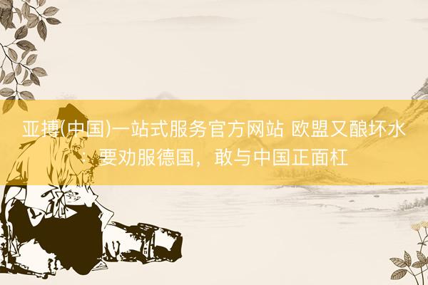 亚搏(中国)一站式服务官方网站 欧盟又酿坏水：要劝服德国，敢与中国正面杠