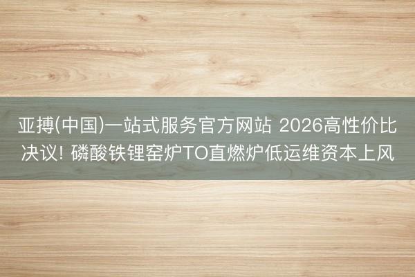 亚搏(中国)一站式服务官方网站 2026高性价比决议! 磷酸铁锂窑炉TO直燃炉低运维资本上风