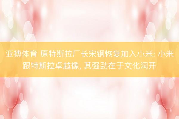 亚搏体育 原特斯拉厂长宋钢恢复加入小米: 小米跟特斯拉卓越像, 其强劲在于文化洞开