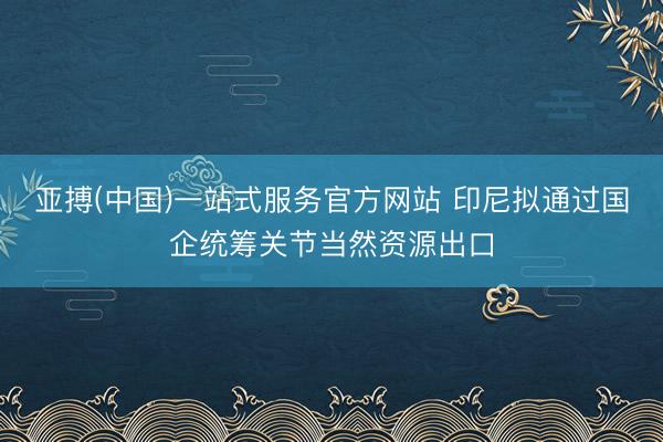 亚搏(中国)一站式服务官方网站 印尼拟通过国企统筹关节当然资源出口