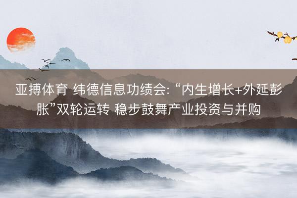 亚搏体育 纬德信息功绩会: “内生增长+外延彭胀”双轮运转 稳步鼓舞产业投资与并购