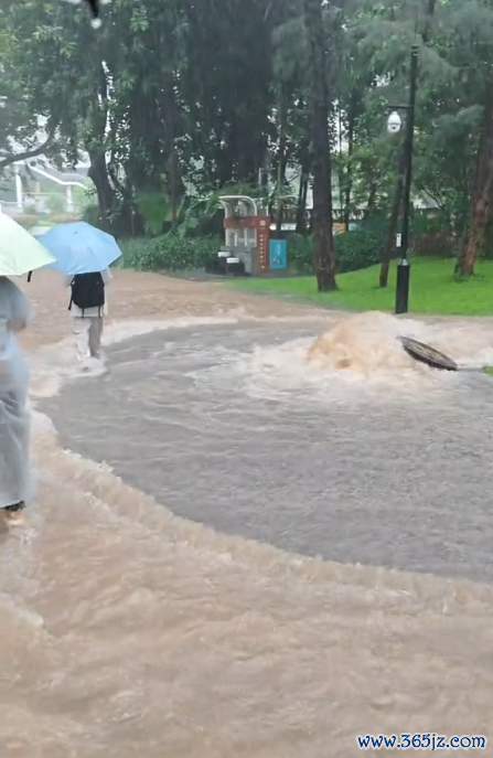 深圳超1300座公园因暴雨关闭 安全考量暂闭园